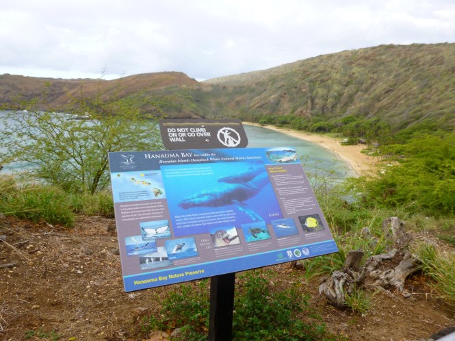 tumblr_ms577yufkm1rhrolgo9_1280