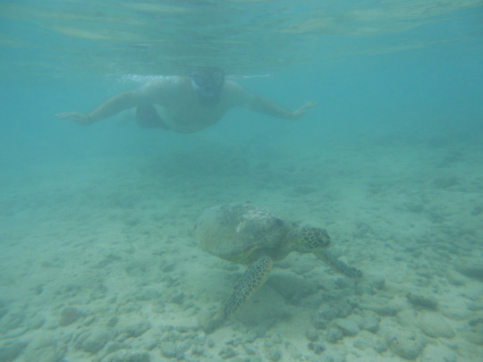 tumblr_ms57x3raAN1rhrolgo1_540