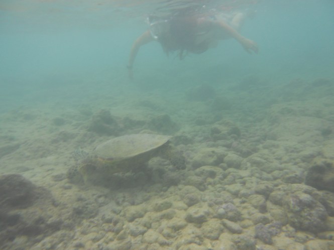 tumblr_ms57x3raAN1rhrolgo3_1280