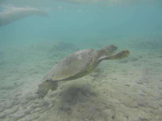 tumblr_ms57x3raAN1rhrolgo4_1280