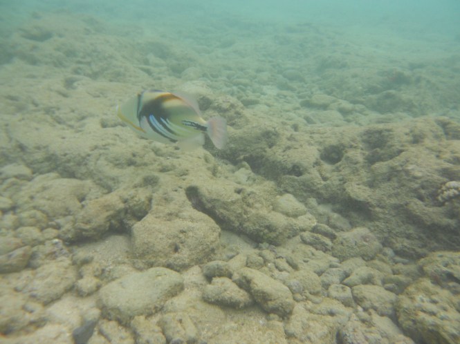 tumblr_ms57x3raAN1rhrolgo5_1280