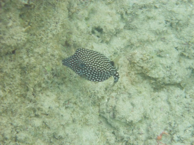 tumblr_ms57x3raAN1rhrolgo6_1280