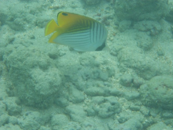 tumblr_ms57x3raAN1rhrolgo7_1280