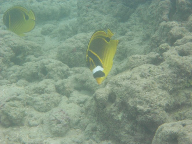 tumblr_ms57x3raAN1rhrolgo9_1280