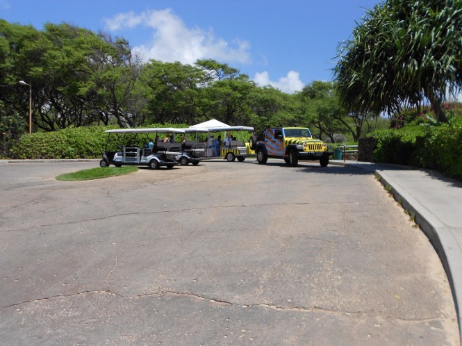 tumblr_ms59dq4Fjj1rhrolgo3_1280