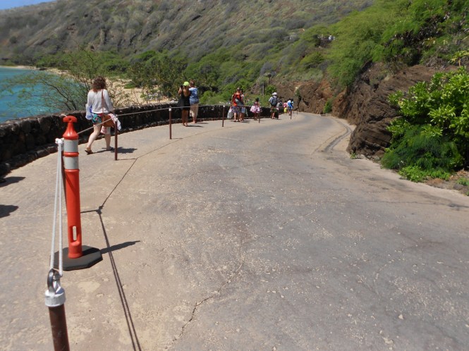 tumblr_ms59dq4Fjj1rhrolgo4_1280