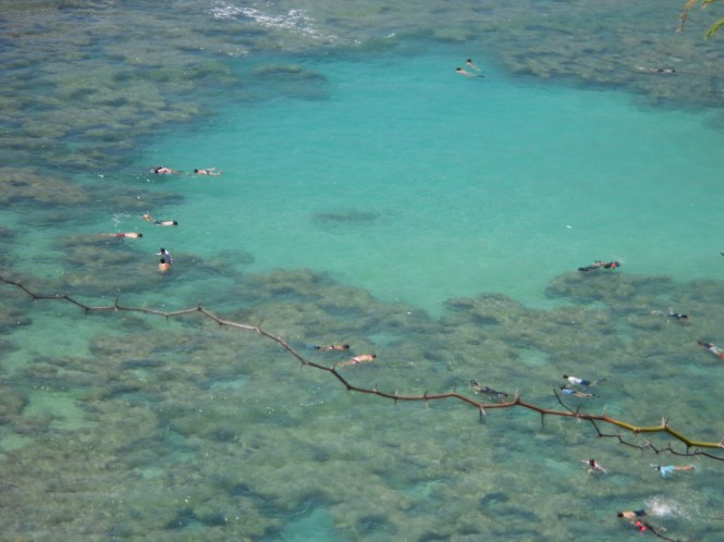 tumblr_ms59dq4Fjj1rhrolgo5_1280