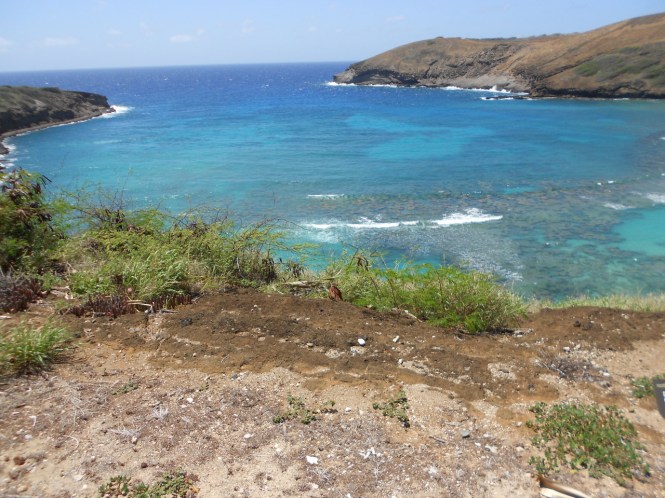 tumblr_ms59dq4Fjj1rhrolgo6_1280