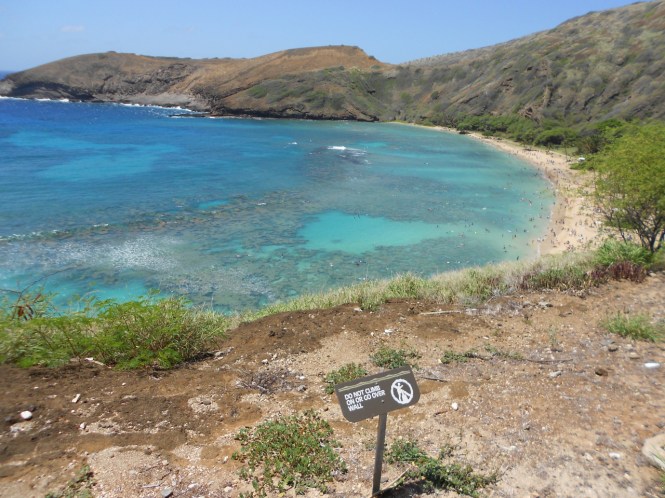 tumblr_ms59dq4Fjj1rhrolgo7_1280