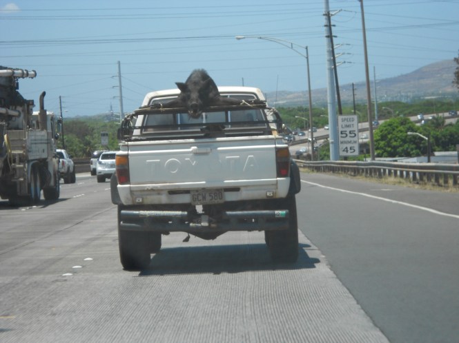 tumblr_ms59dq4Fjj1rhrolgo9_1280