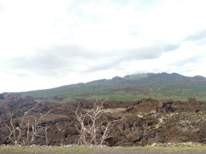 tumblr_ms6i08y0AN1rhrolgo1_1280