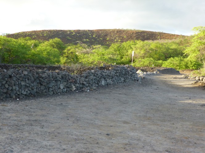 tumblr_ms6i08y0AN1rhrolgo7_1280