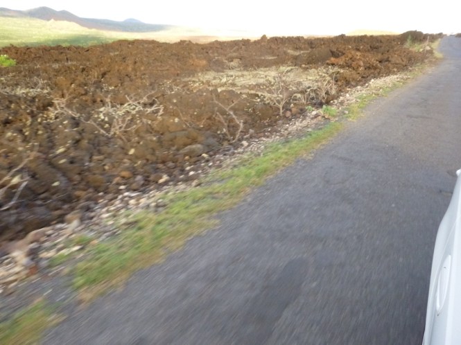 tumblr_ms6i08y0AN1rhrolgo8_1280