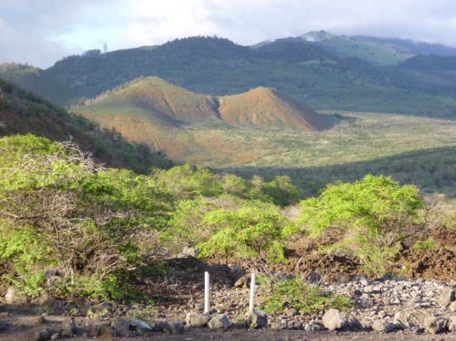 tumblr_ms6i08y0AN1rhrolgo9_1280