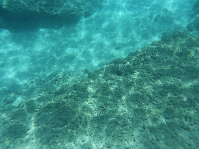 tumblr_ms6mjc4fol1rhrolgo2_1280