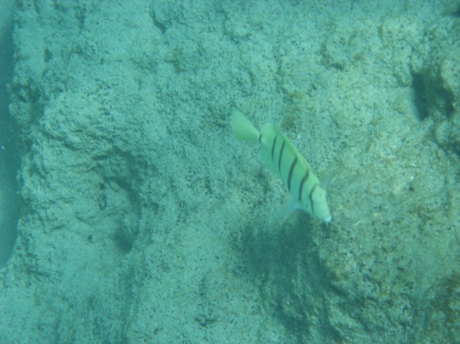 tumblr_ms6mjc4fol1rhrolgo3_1280