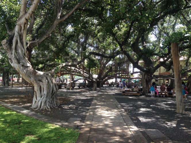 tumblr_ms73ynUqhP1rhrolgo10_1280