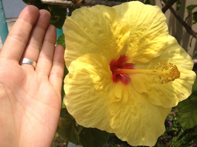 tumblr_ms73ynUqhP1rhrolgo3_1280