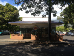 tumblr_ms73ynUqhP1rhrolgo8_250