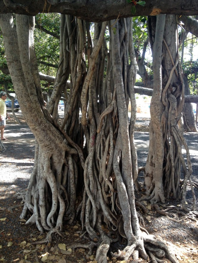 tumblr_ms73ynUqhP1rhrolgo9_1280