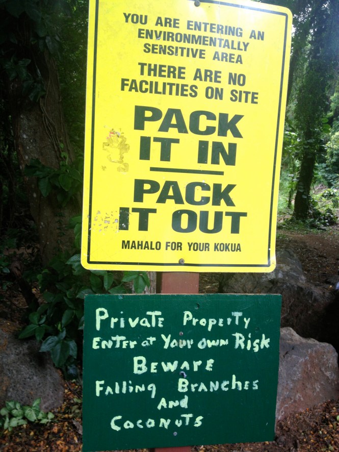 tumblr_ms74axdNeP1rhrolgo2_1280