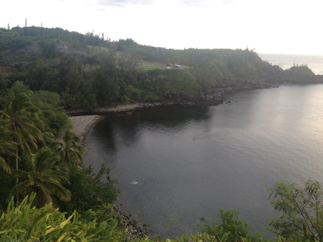 tumblr_ms74axdNeP1rhrolgo3_1280