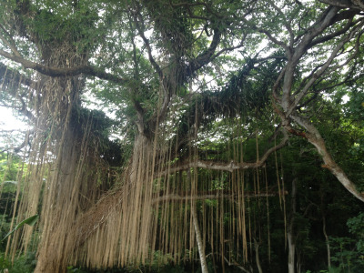 tumblr_ms74axdNeP1rhrolgo4_400