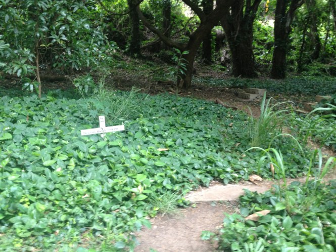 tumblr_ms74axdNeP1rhrolgo5_1280