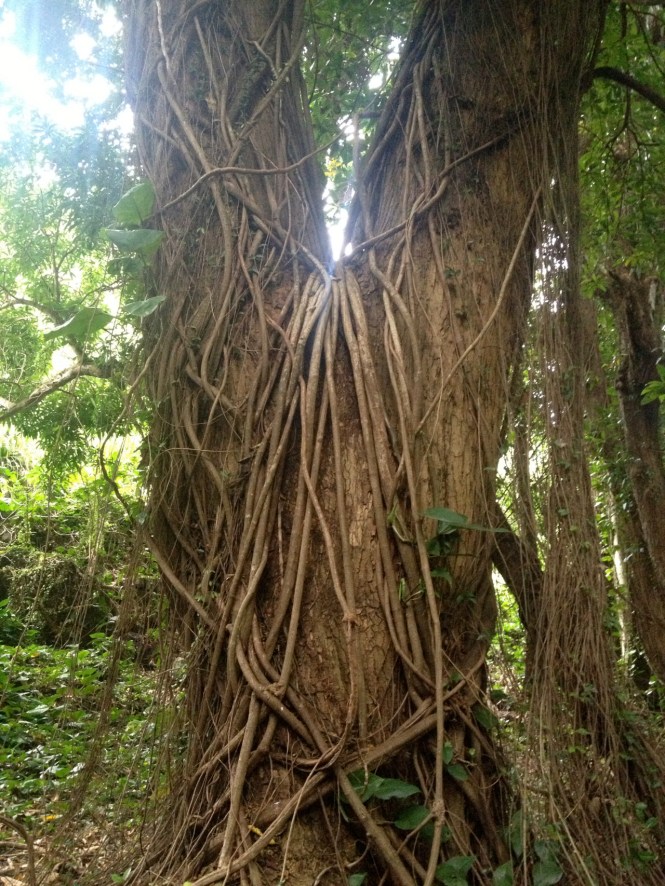 tumblr_ms74axdNeP1rhrolgo7_1280