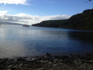 tumblr_ms74da3X561rhrolgo1_540