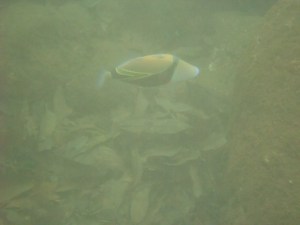 tumblr_ms74da3X561rhrolgo2_1280