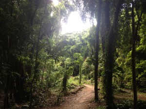 tumblr_ms74da3X561rhrolgo4_1280