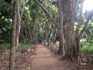 tumblr_ms74da3X561rhrolgo5_1280