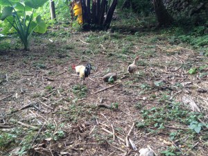 tumblr_ms74da3X561rhrolgo7_1280