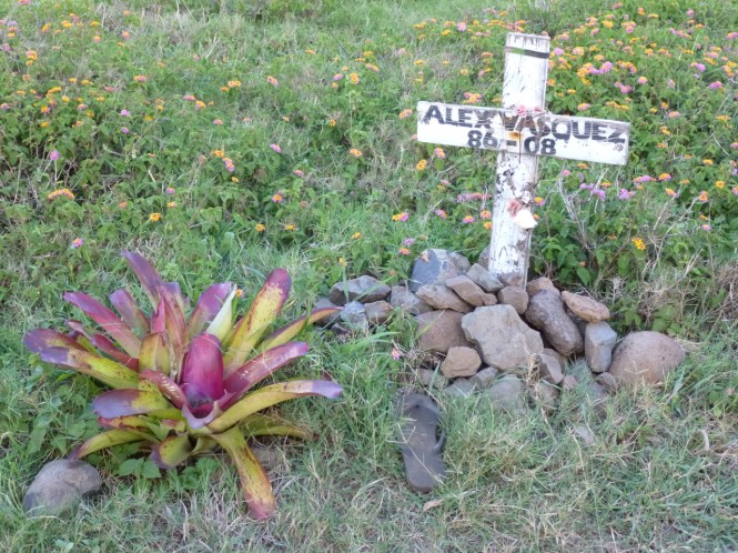 tumblr_ms74ksJRW91rhrolgo10_1280