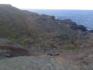 tumblr_ms74ksJRW91rhrolgo3_1280