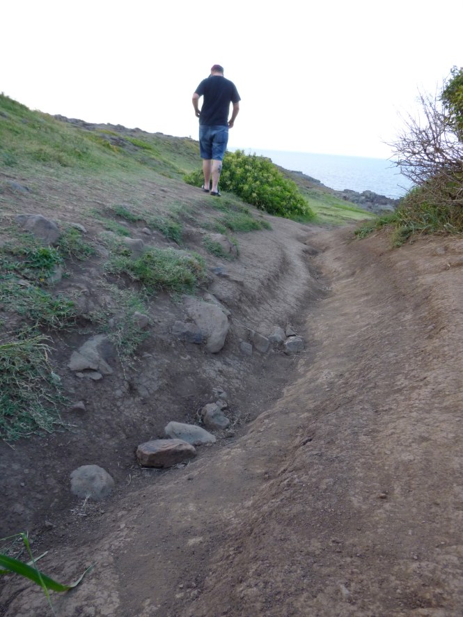 tumblr_ms74ksJRW91rhrolgo6_1280