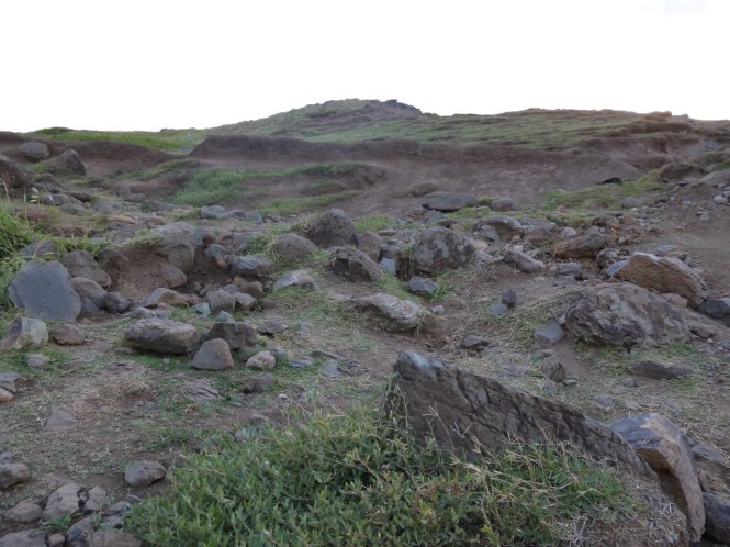 tumblr_ms74ksJRW91rhrolgo8_1280