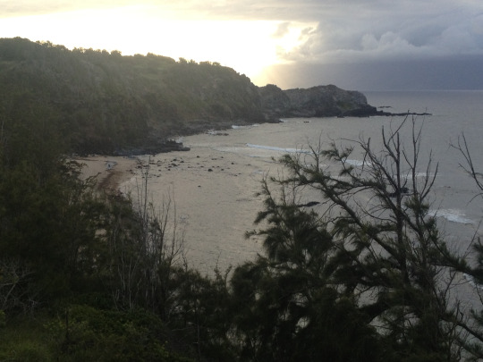 tumblr_ms74netjXf1rhrolgo1_540