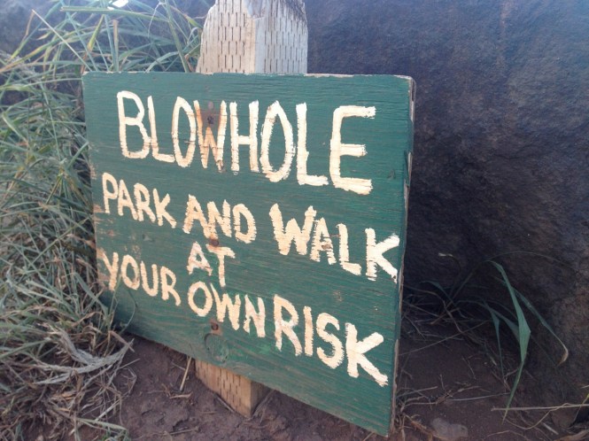 tumblr_ms74netjXf1rhrolgo8_1280