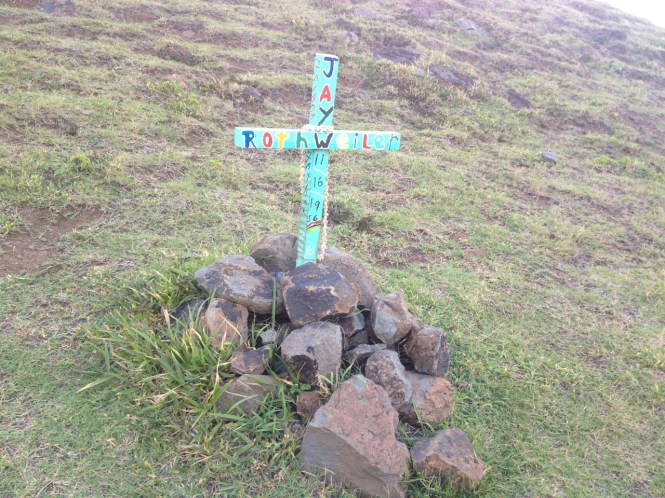 tumblr_ms74netjXf1rhrolgo9_1280