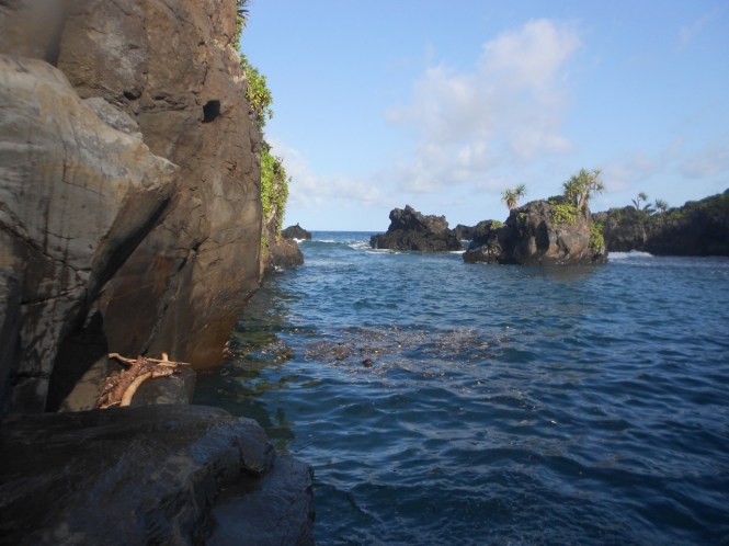 tumblr_msam3xuOEZ1rhrolgo5_1280