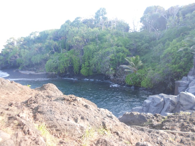 tumblr_msam3xuOEZ1rhrolgo7_1280