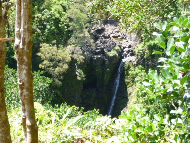 tumblr_msam7qc94l1rhrolgo10_1280