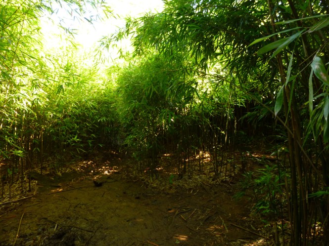 tumblr_msam7qc94l1rhrolgo4_1280