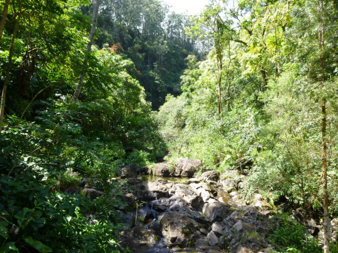 tumblr_msam7qc94l1rhrolgo5_1280