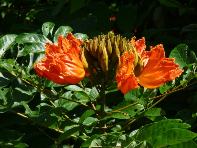 tumblr_msam7qc94l1rhrolgo6_1280