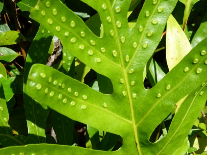 tumblr_msam7qc94l1rhrolgo7_1280