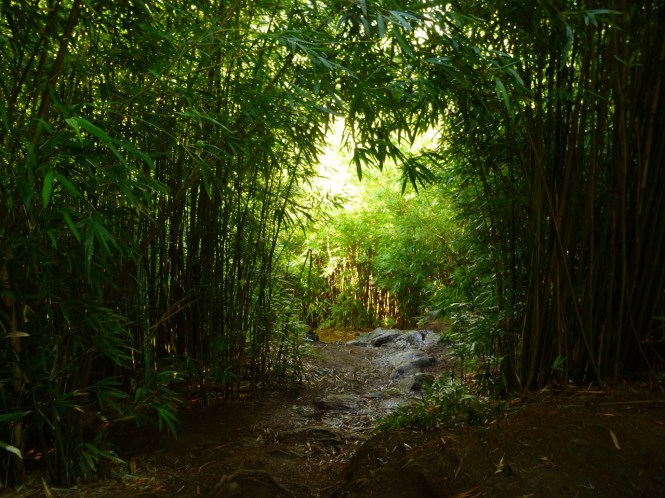 tumblr_msam7qc94l1rhrolgo8_1280