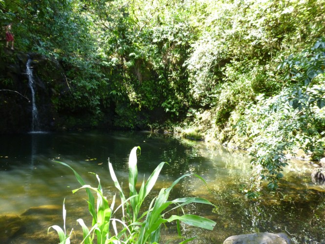 tumblr_msam7qc94l1rhrolgo9_1280